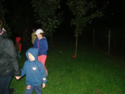 szentmihalynap2015_56_20210412